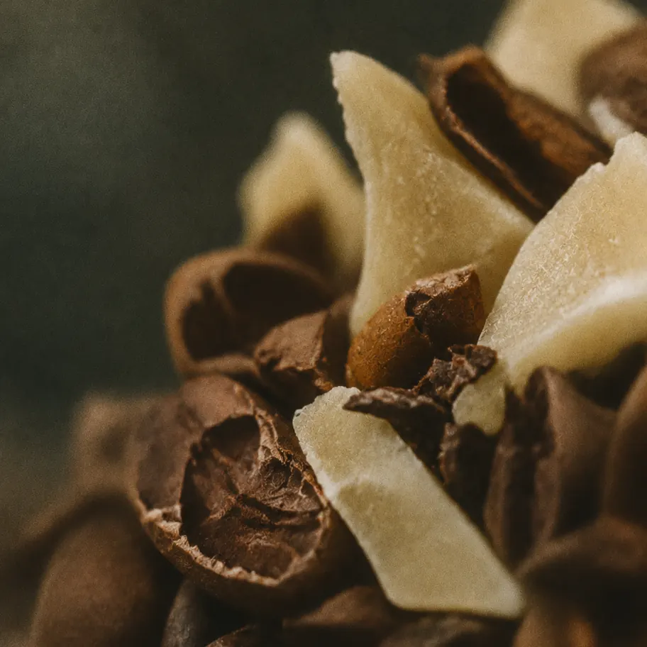 Macro photo of cacao nibs and cocoa butter