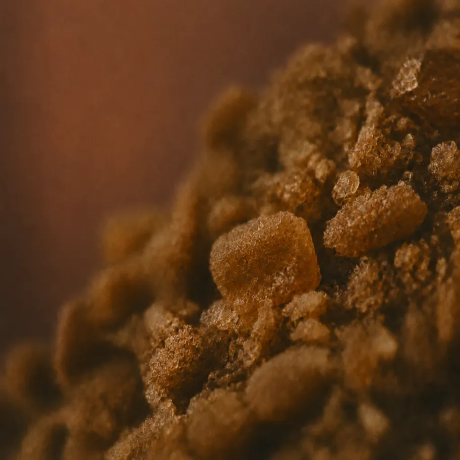 Macro photo of coconut sugar crystals