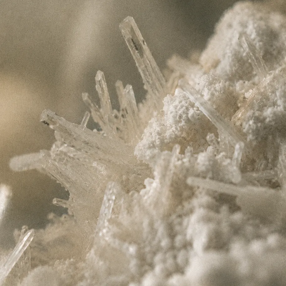 Macro photo of creatine crystals and powder